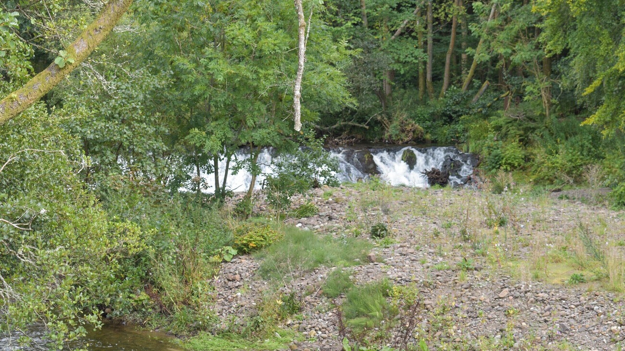 Photo of Others in Dollar