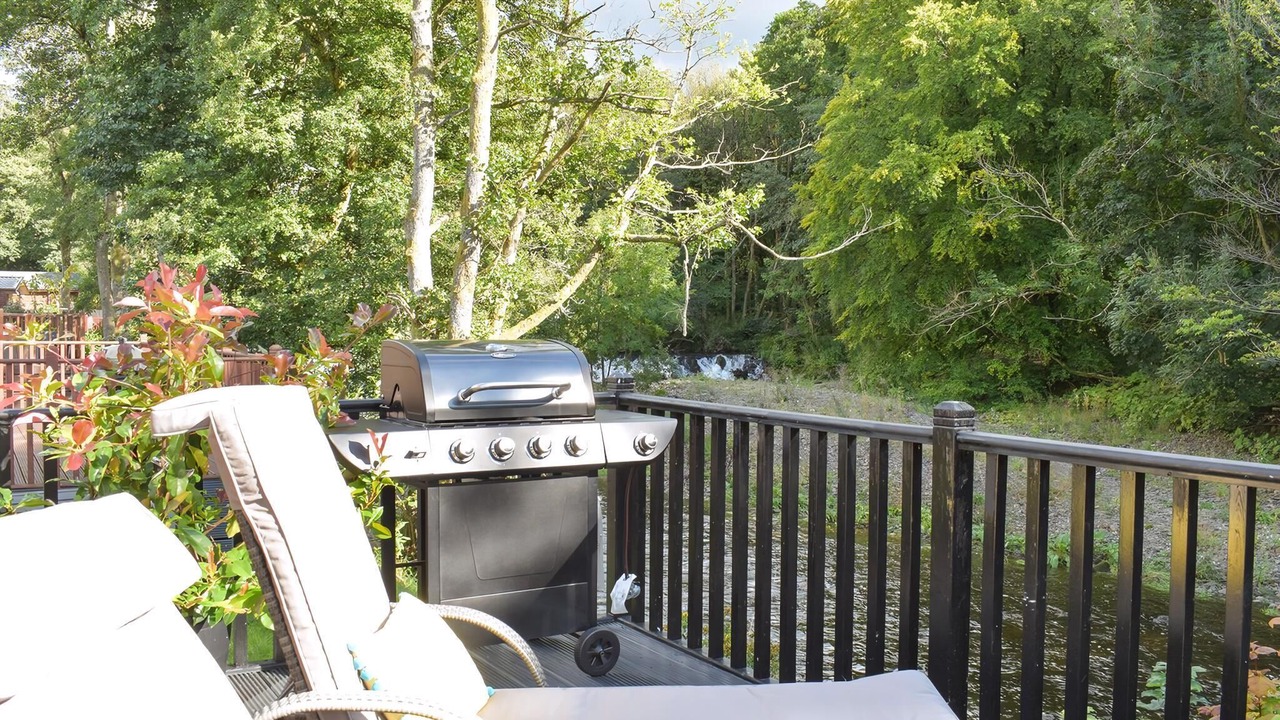 Photo of Others in Dollar