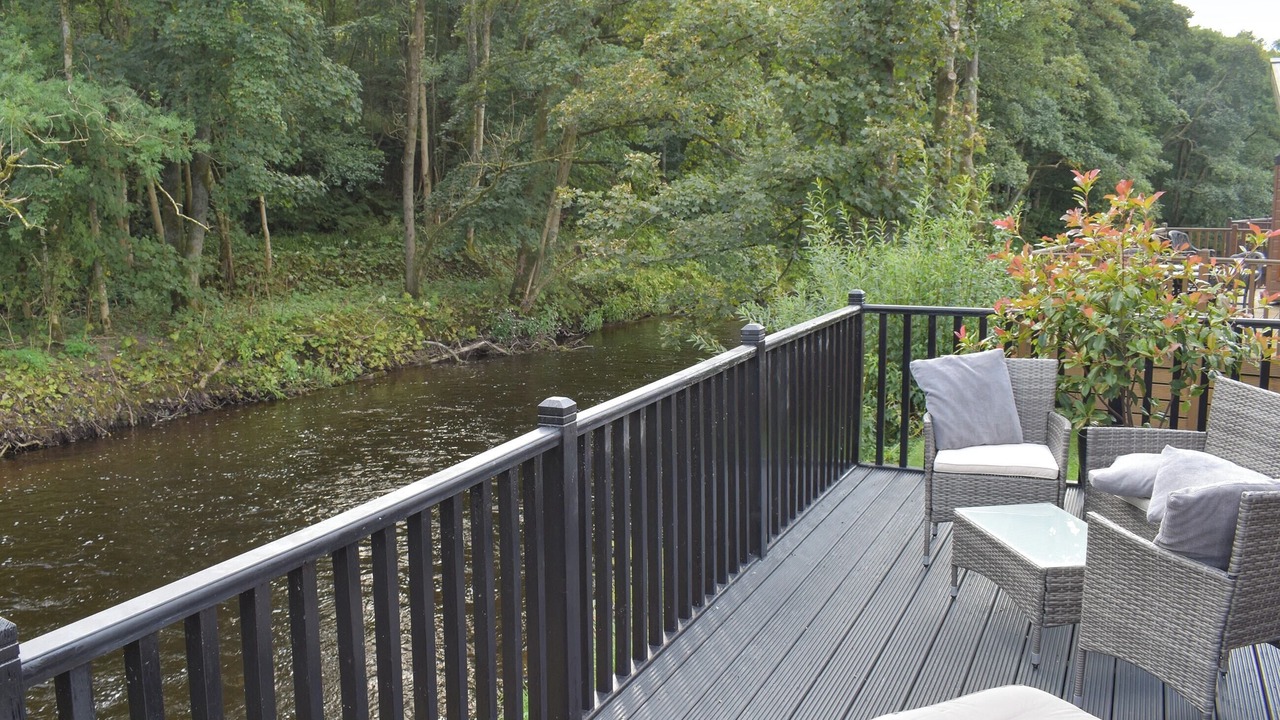 Photo of Others in Dollar