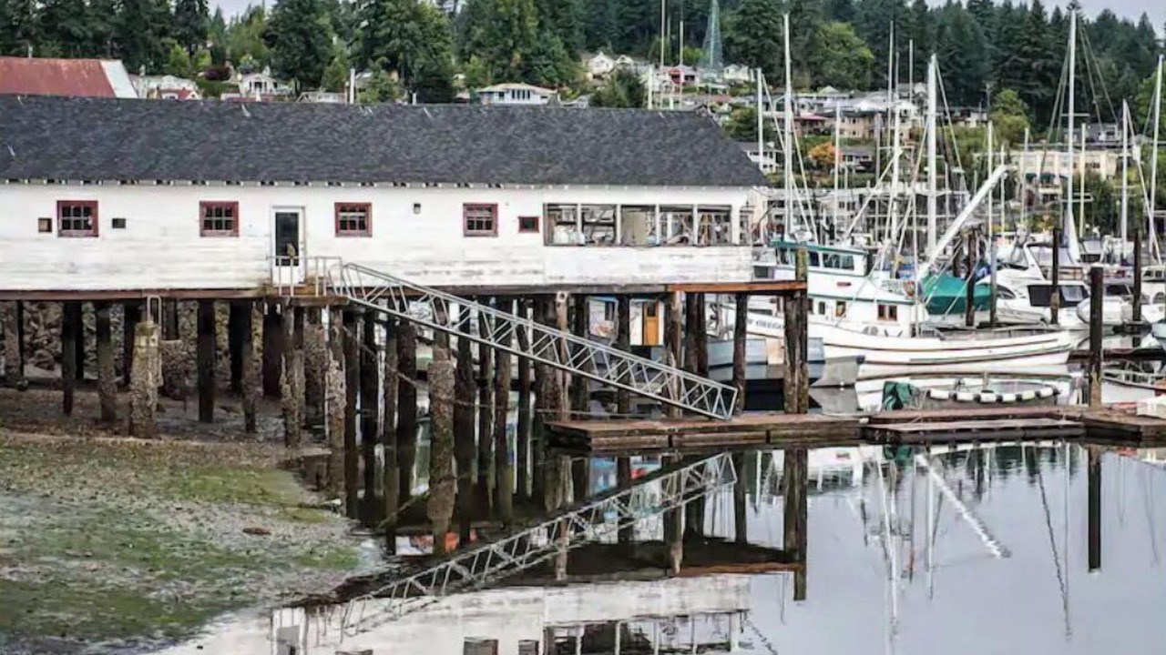 Photo of Others in Gig Harbor