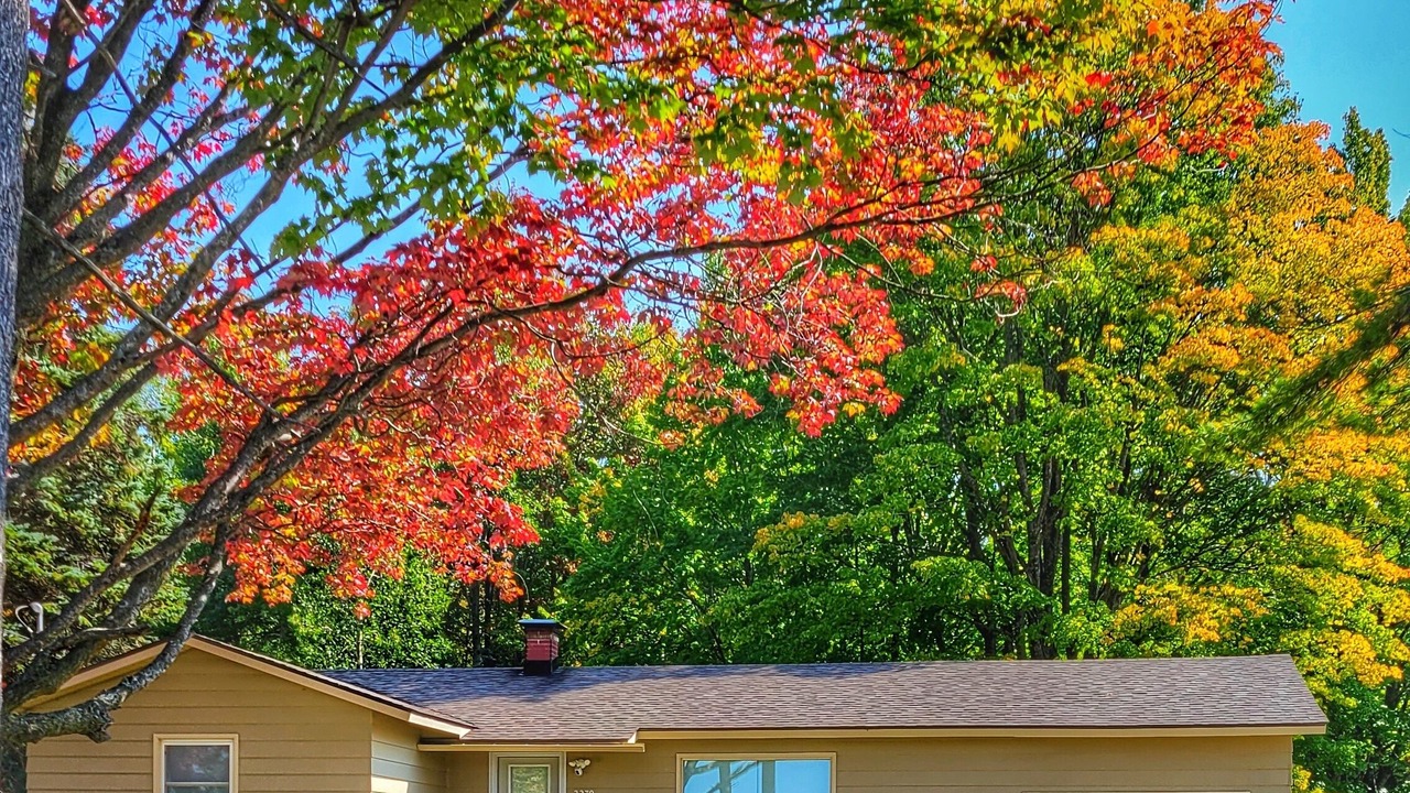 Photo of Outdoor in Petoskey