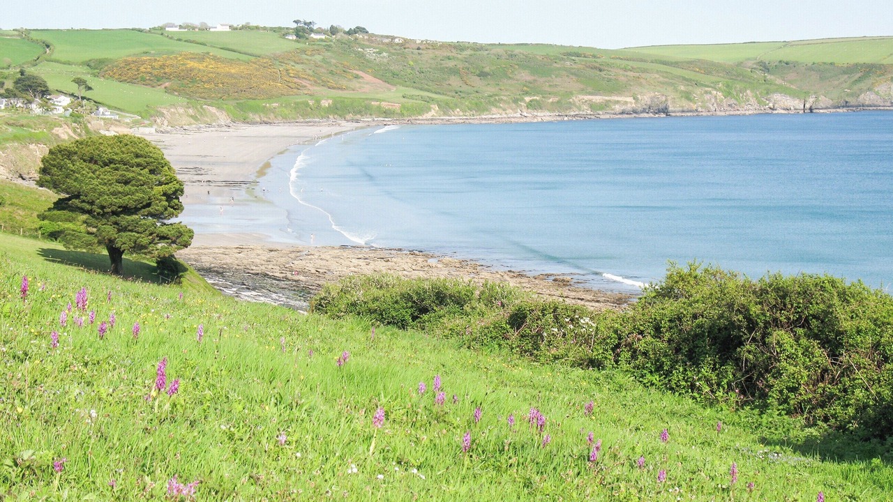 Photo of Others in Veryan