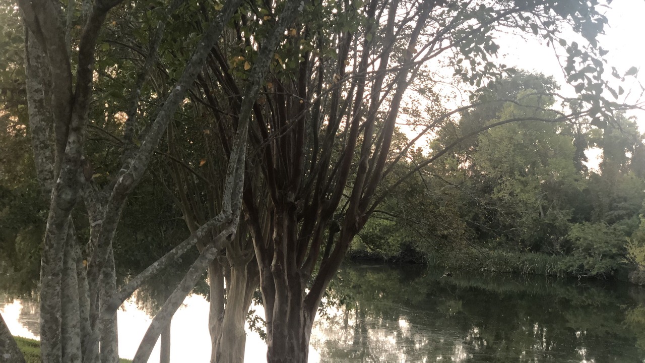 Photo of Outdoor in Natchitoches