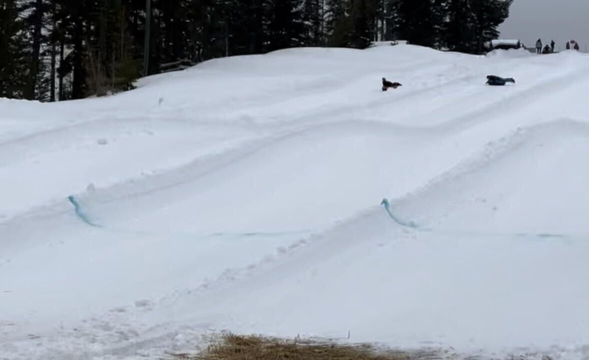 Photo of Others in Kellogg