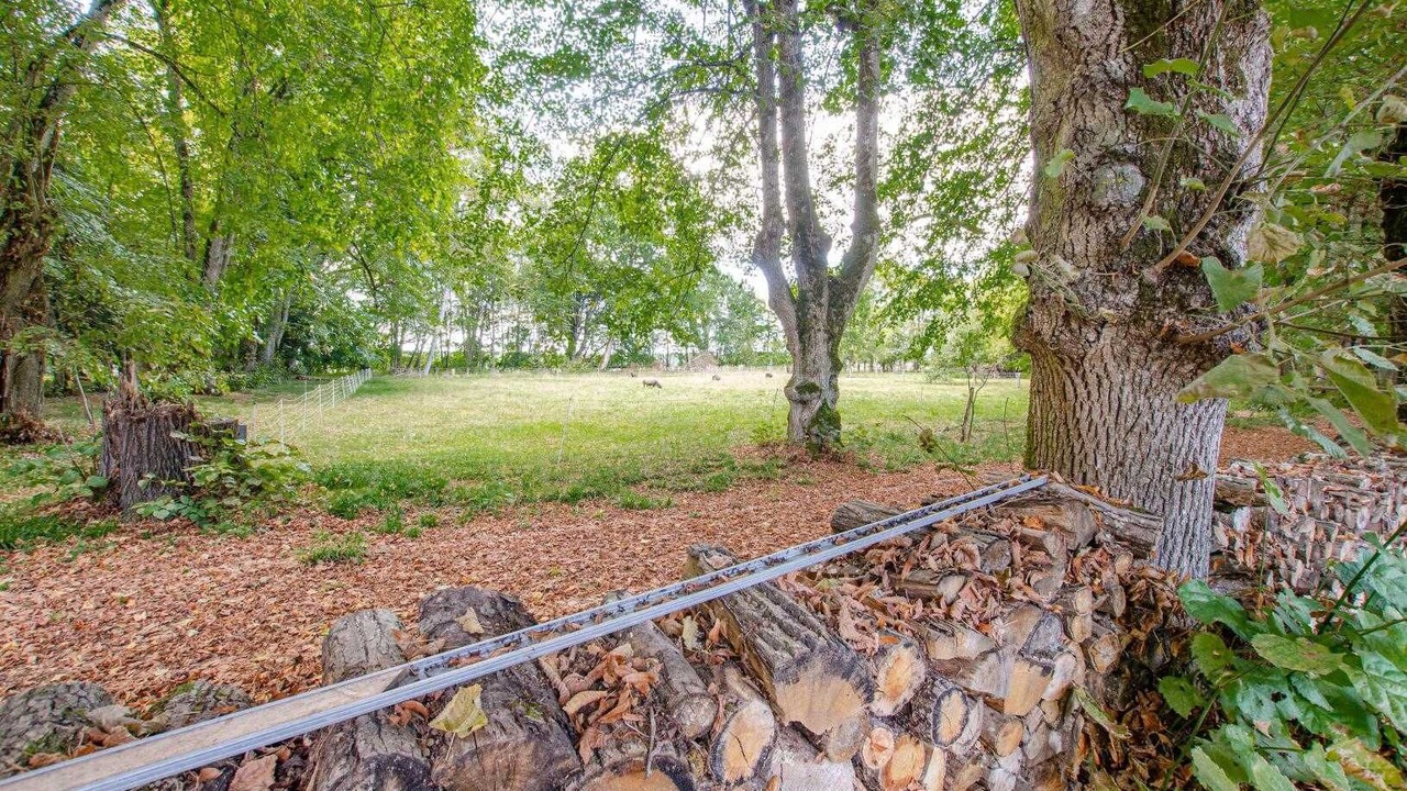 Photo of Outdoor in Geraudot