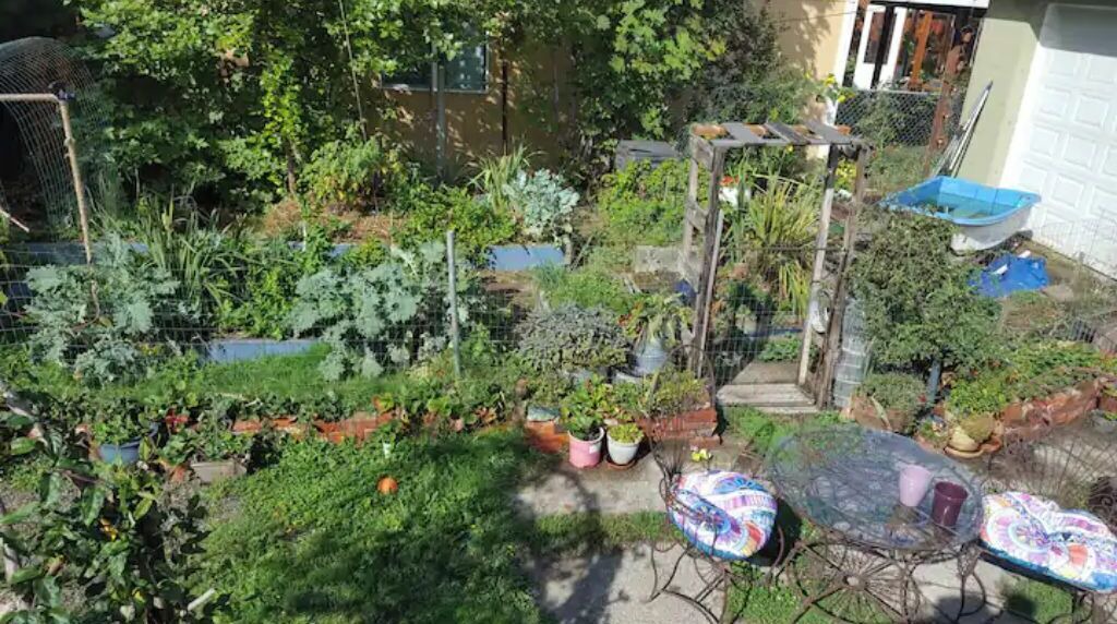 Photo of Outdoor in South End