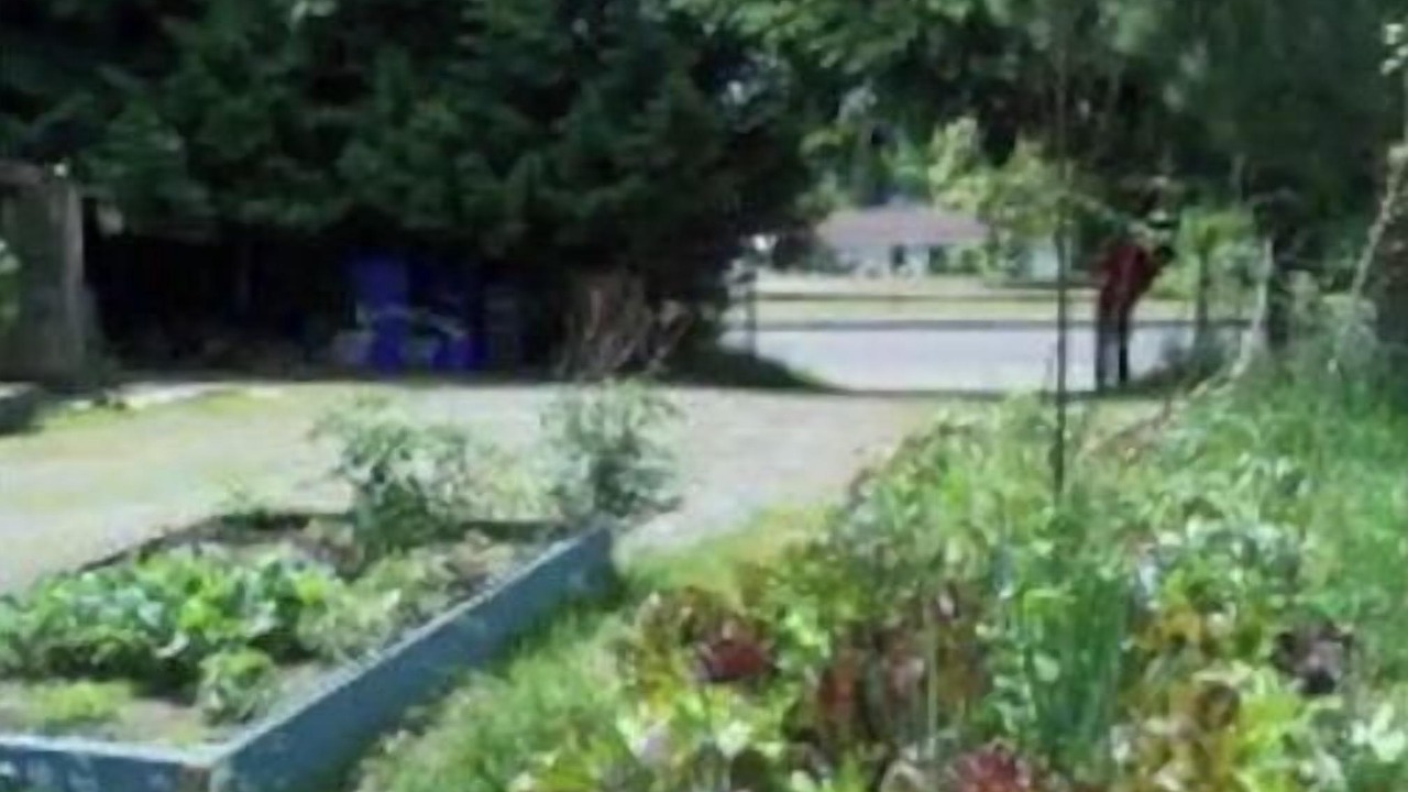 Photo of Outdoor in South End