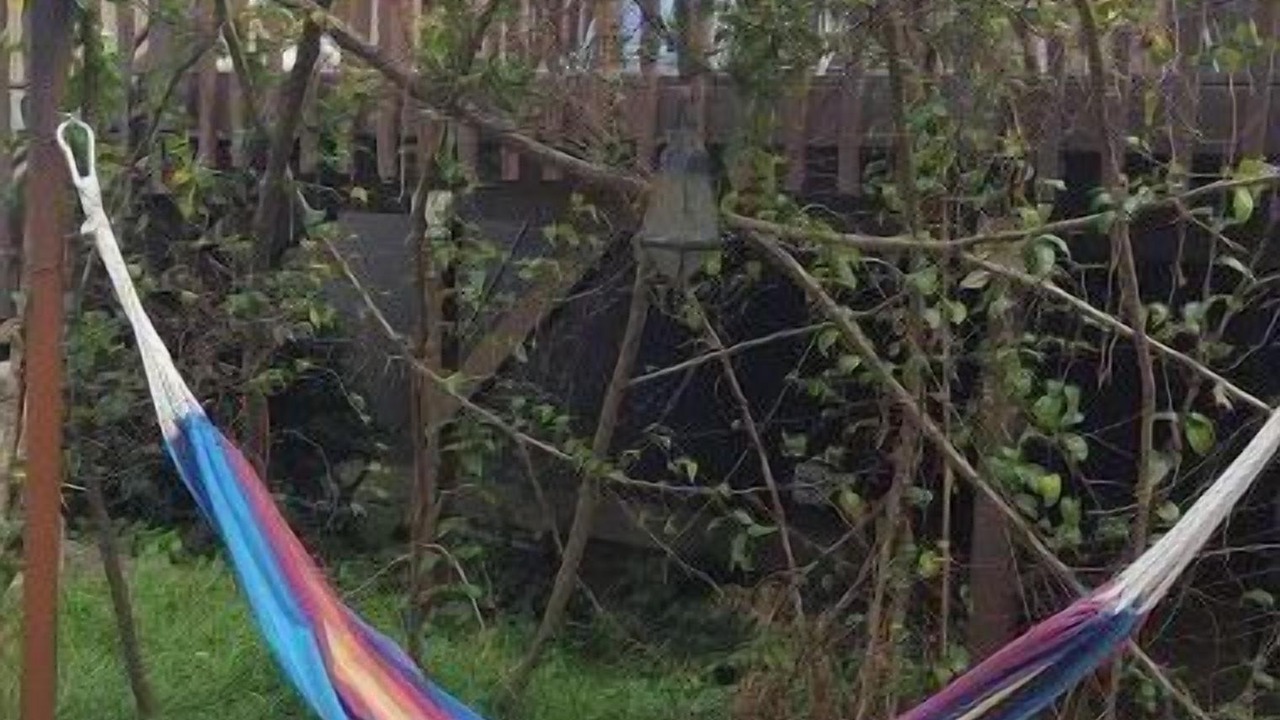 Photo of Outdoor in South End