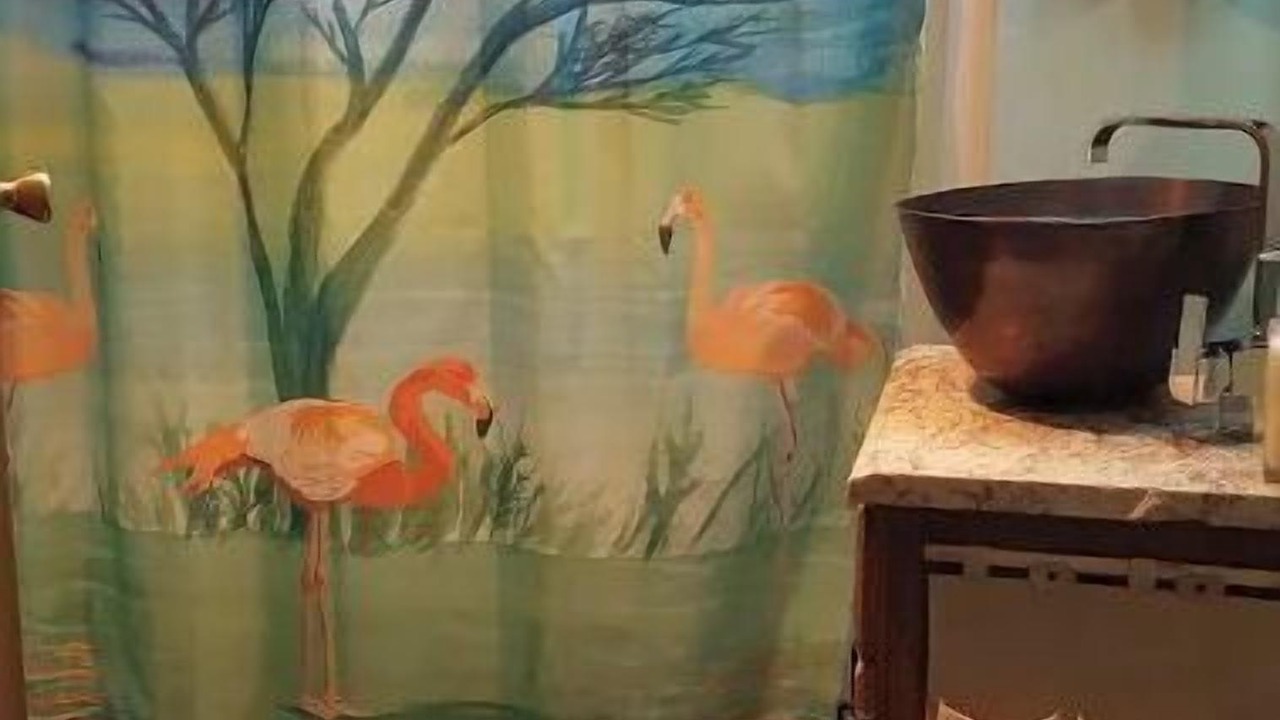 Photo of Others in South End