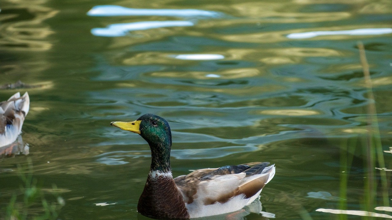 Photo of Others in Albuquerque