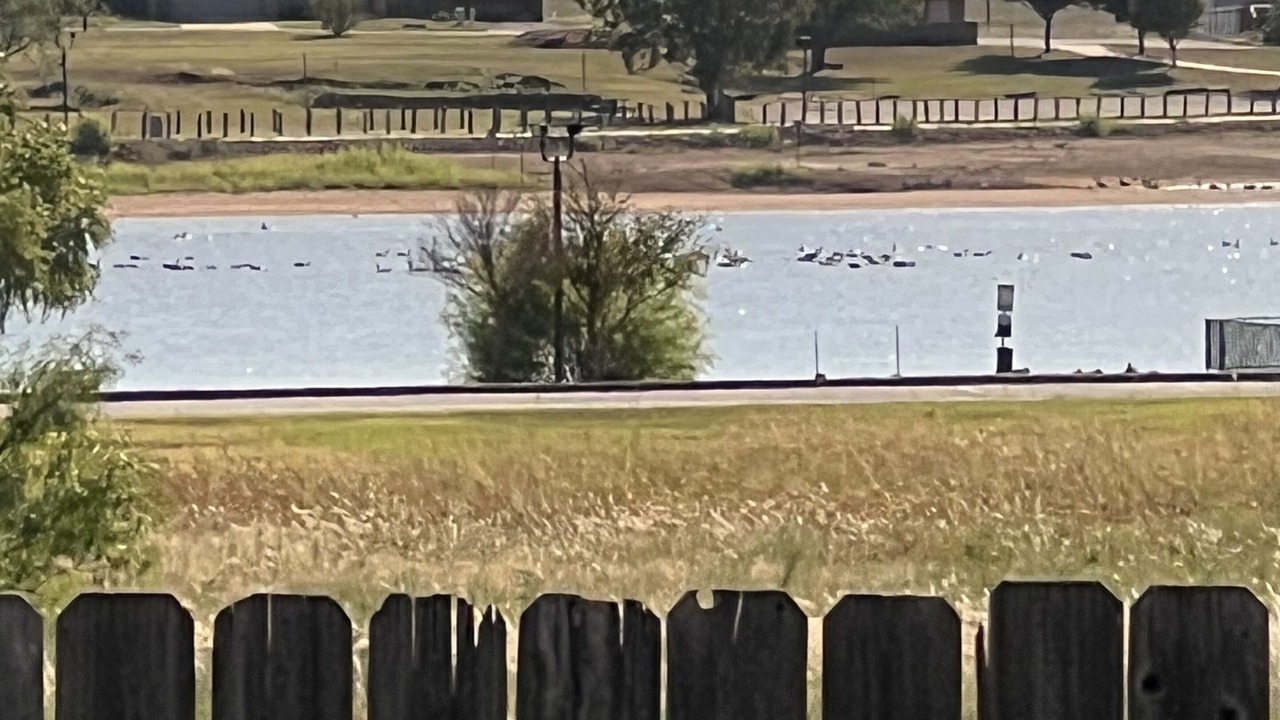 Photo of Others in Iowa Park