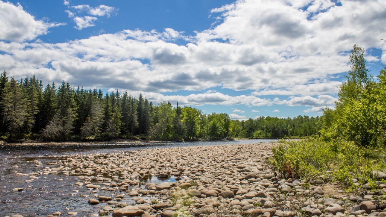 Photo of Others in Saint-Raymond