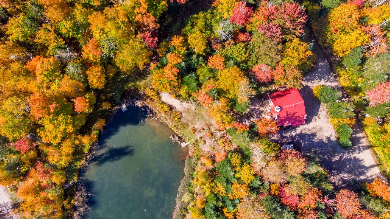 Photo of Outdoor in Lac-Sergent