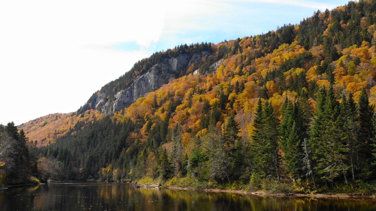 Photo of Others in Saint-Raymond