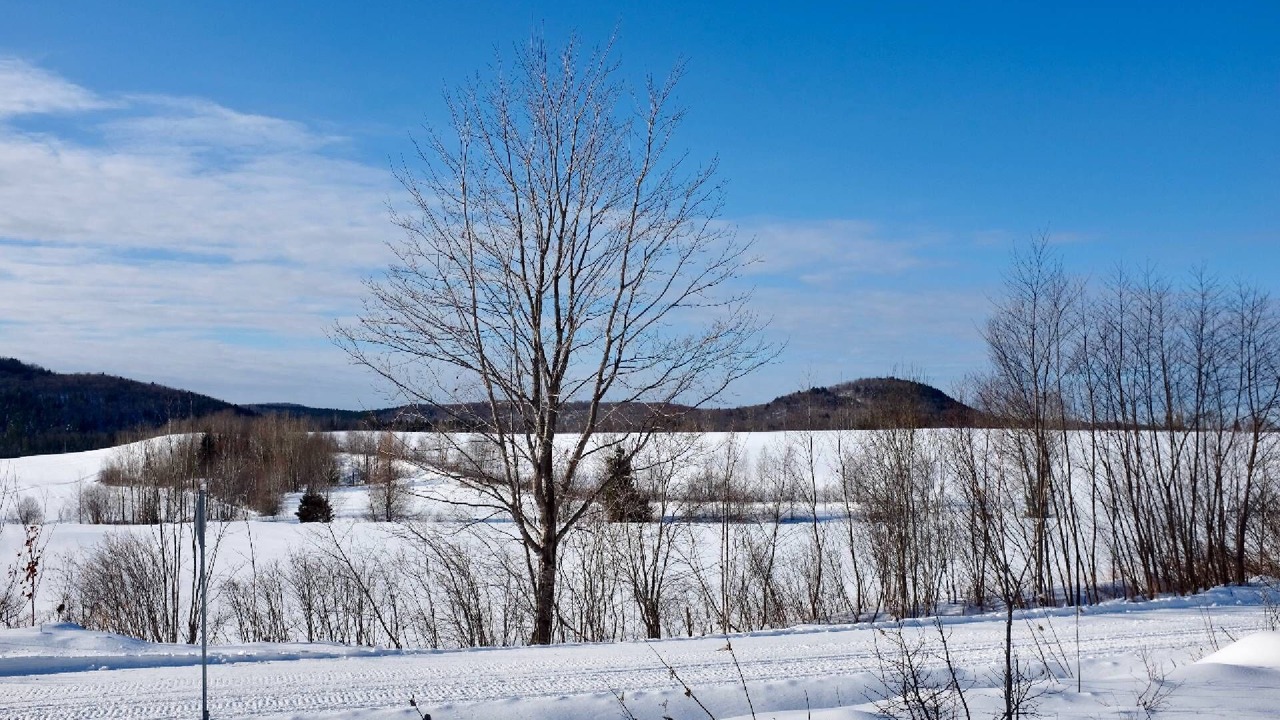Photo of Others in Saint-Leonard-de-Portneuf