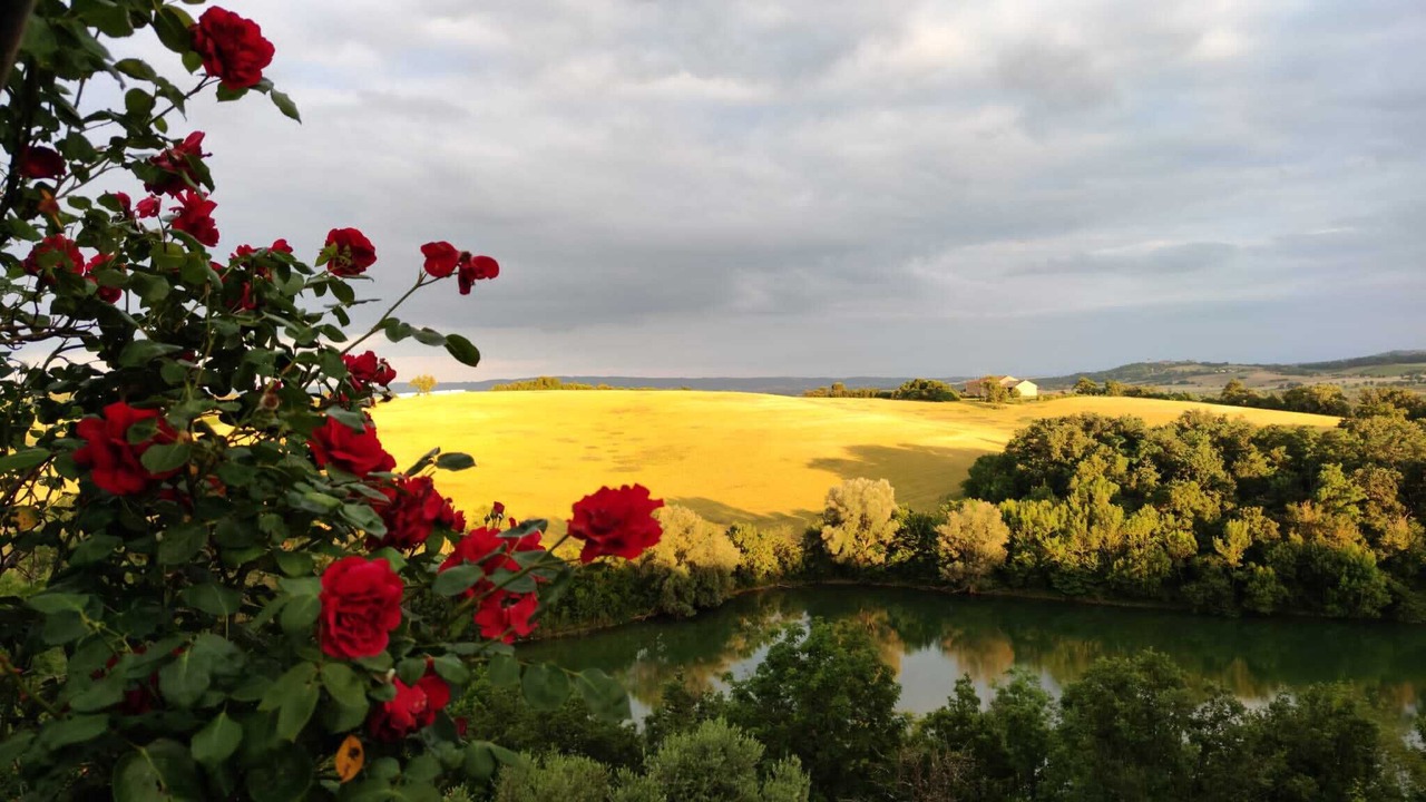 Photo of Outdoor in Mouzens