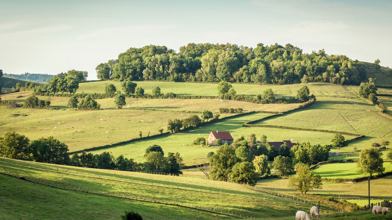 Photo of Others in Amanze