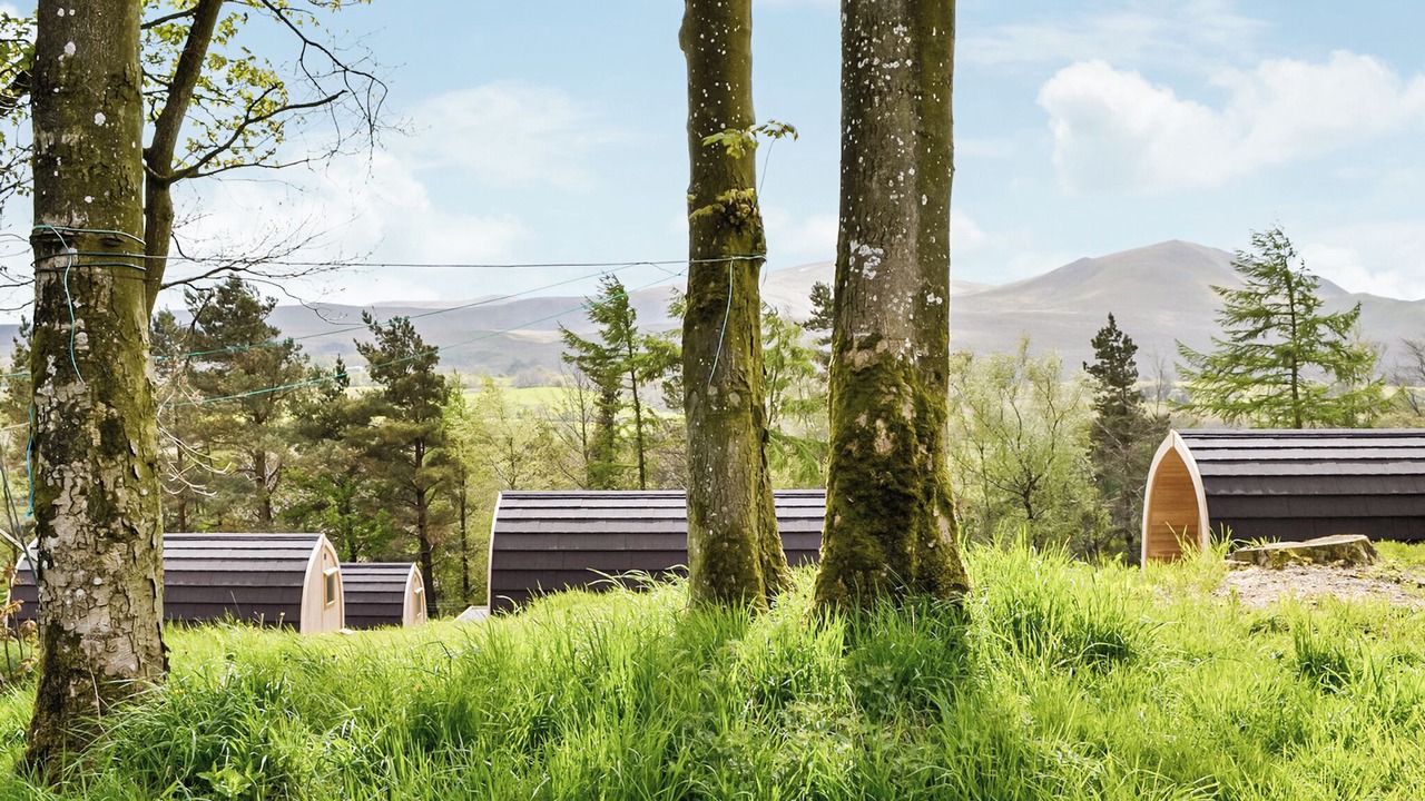 Photo of Others in Scales