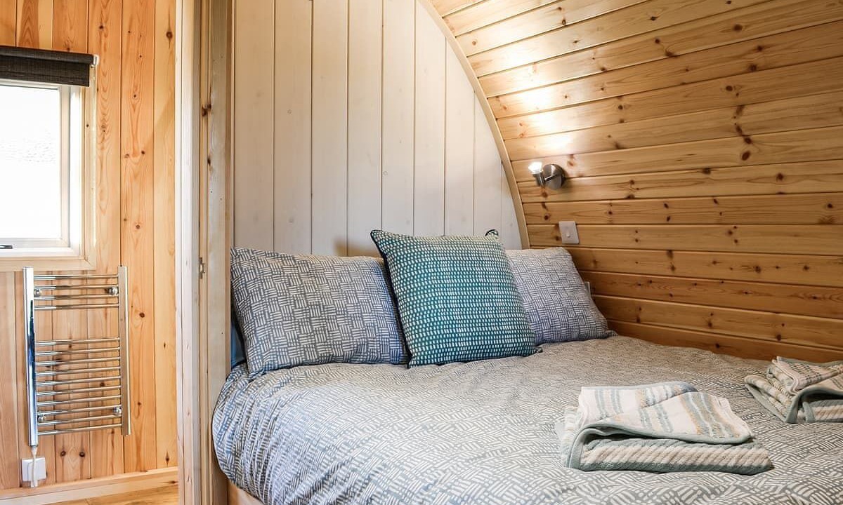 Photo of Others in Scales