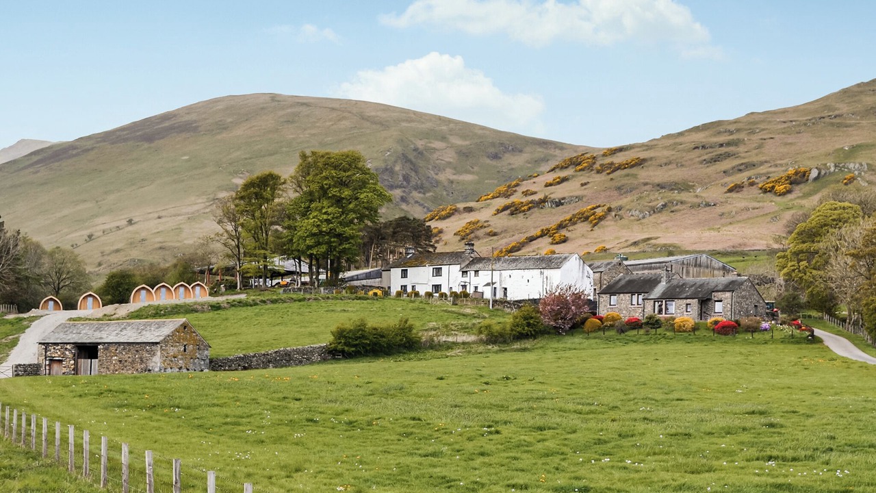 Photo of Others in Scales