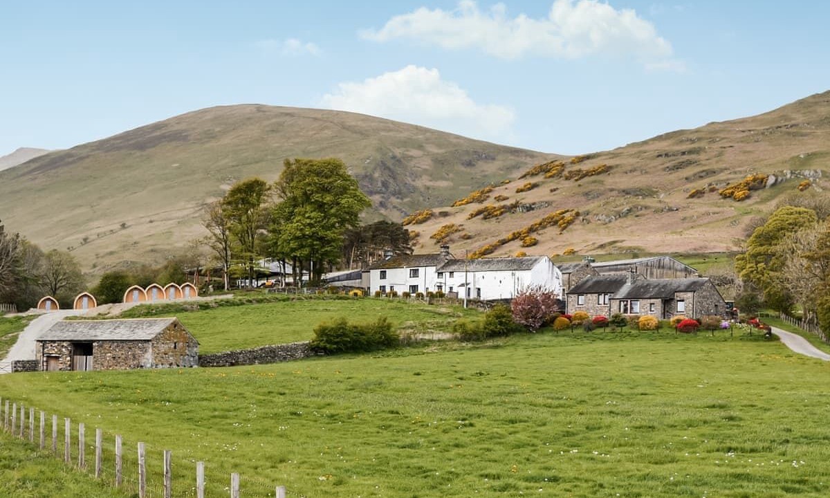 Photo of Others in Scales