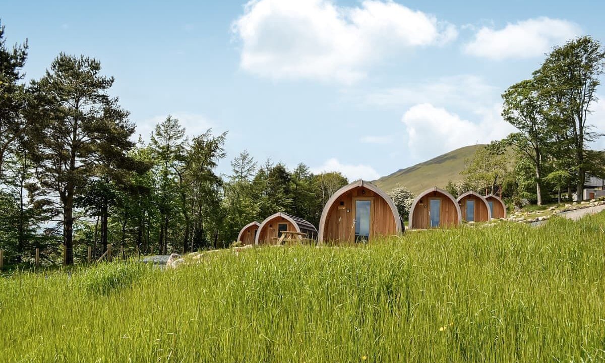 Photo of Others in Scales