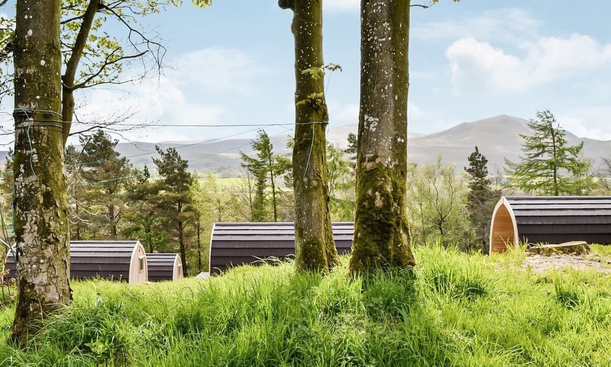 Photo of Others in Scales