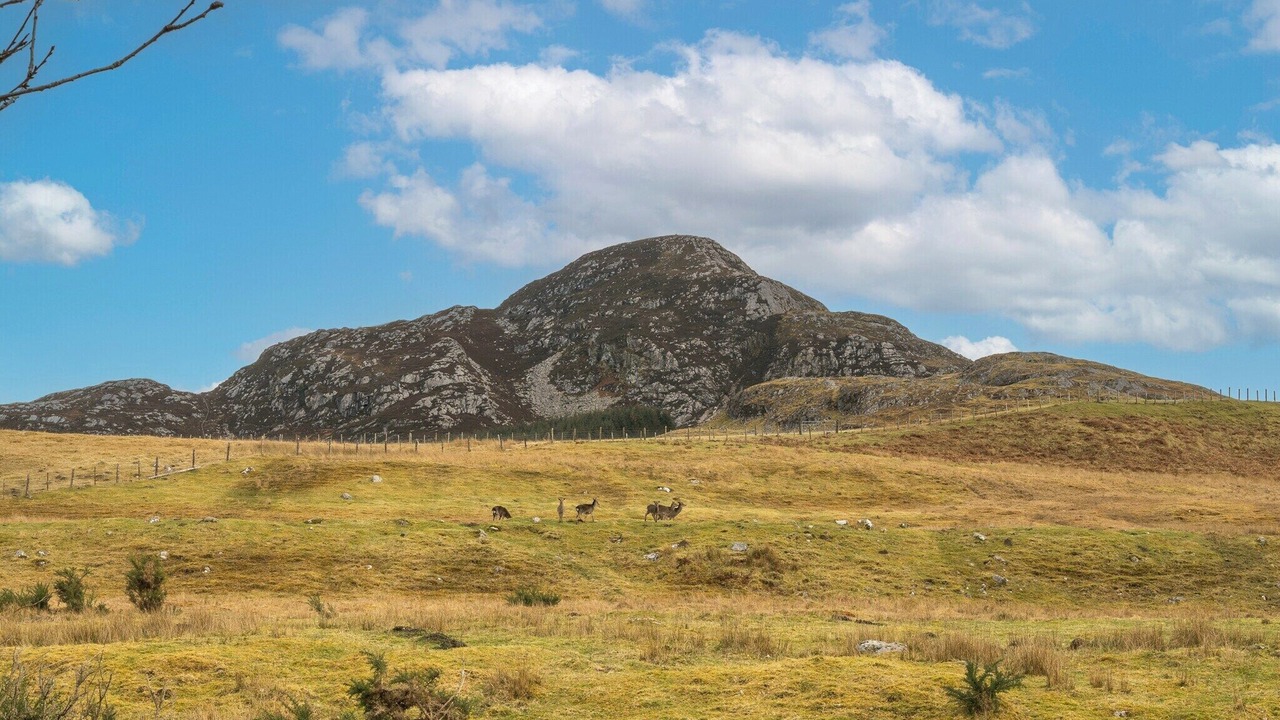 Photo of Others in Whitebridge