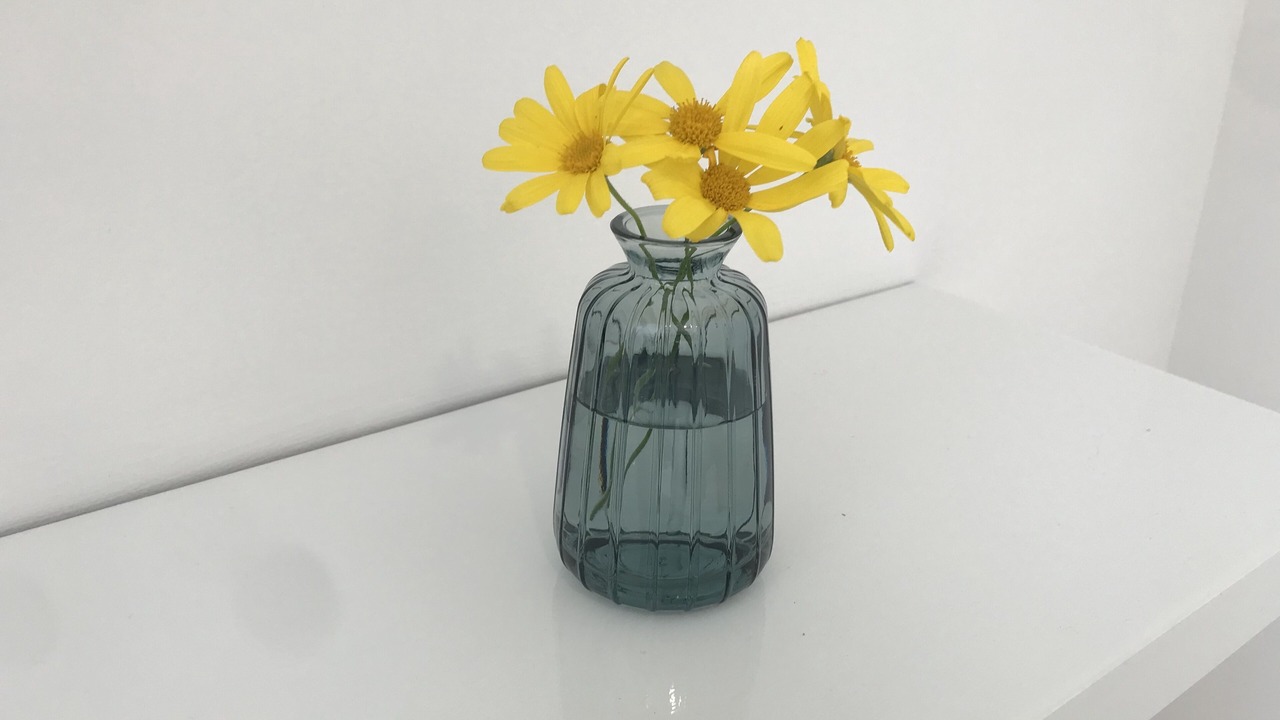 Photo of Others in Grays Point