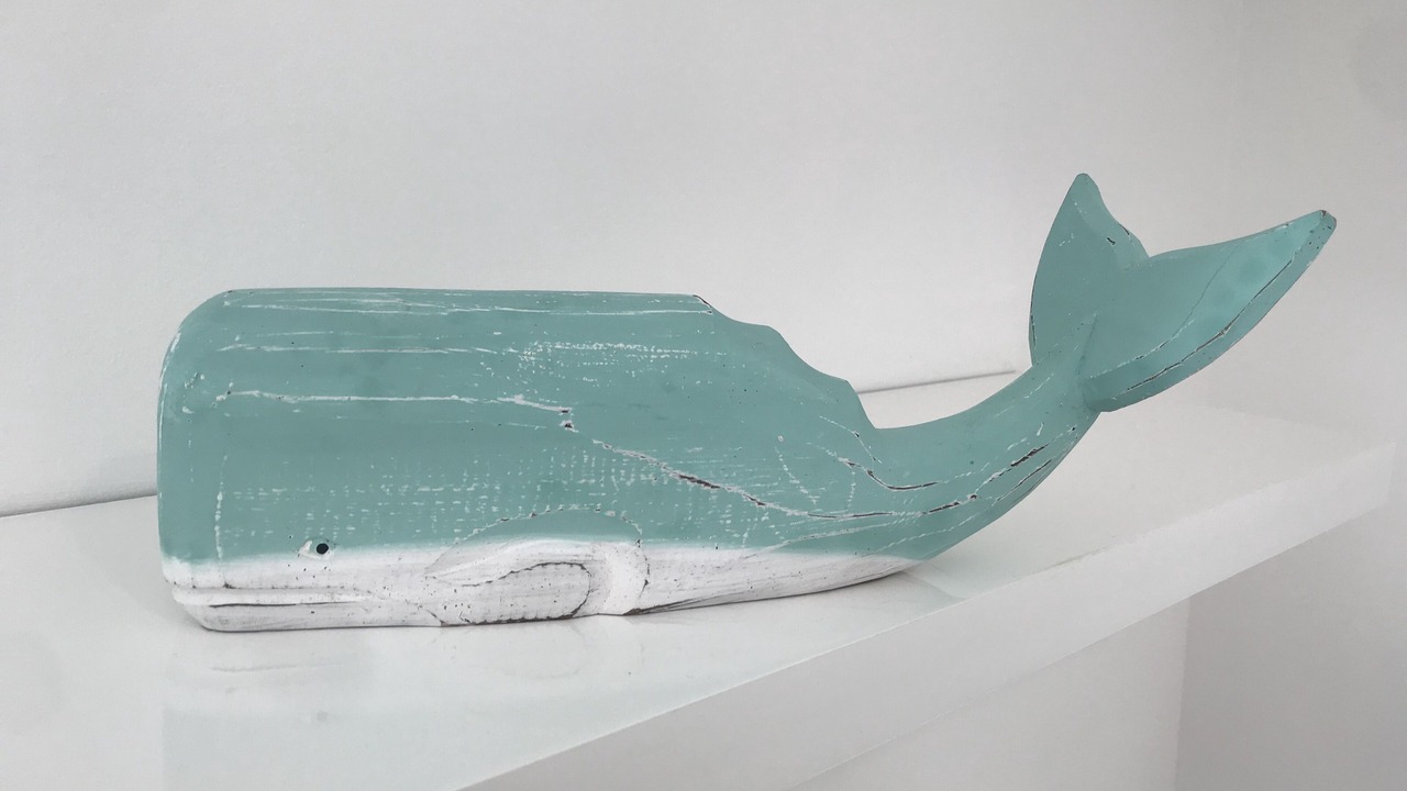 Photo of Others in Grays Point