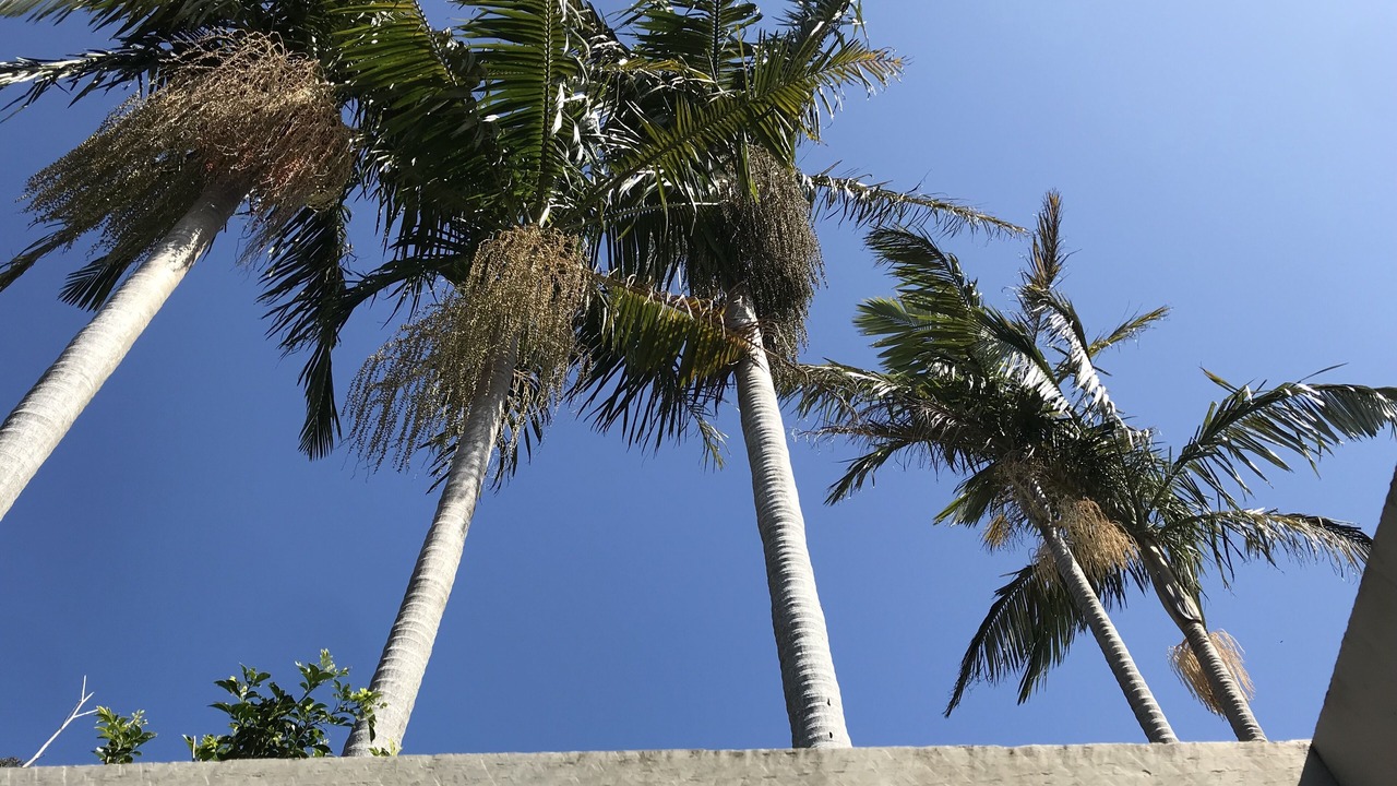 Photo of Outdoor in Grays Point