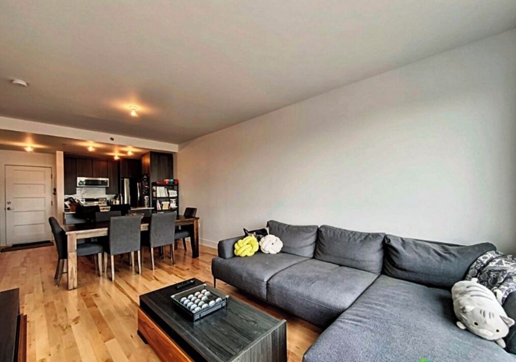 Photo of Livingroom in Maisonneuve