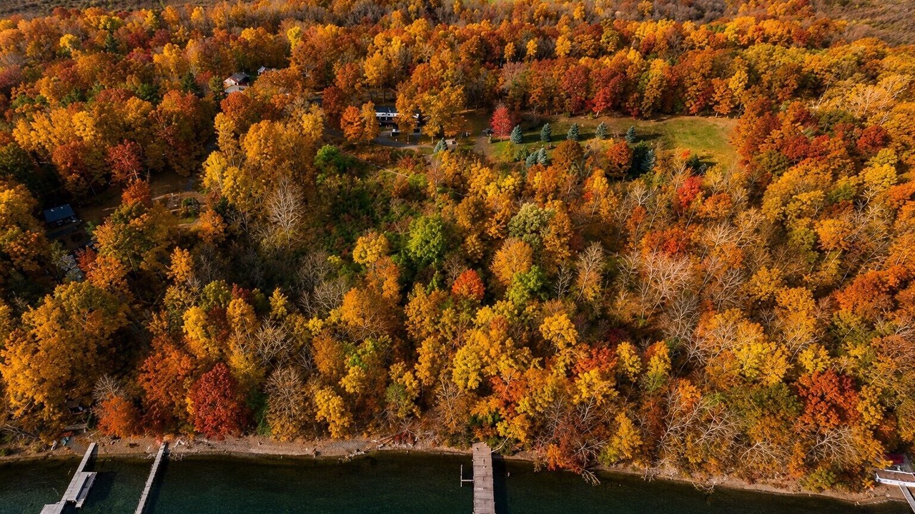 Photo of Outdoor in Ovid