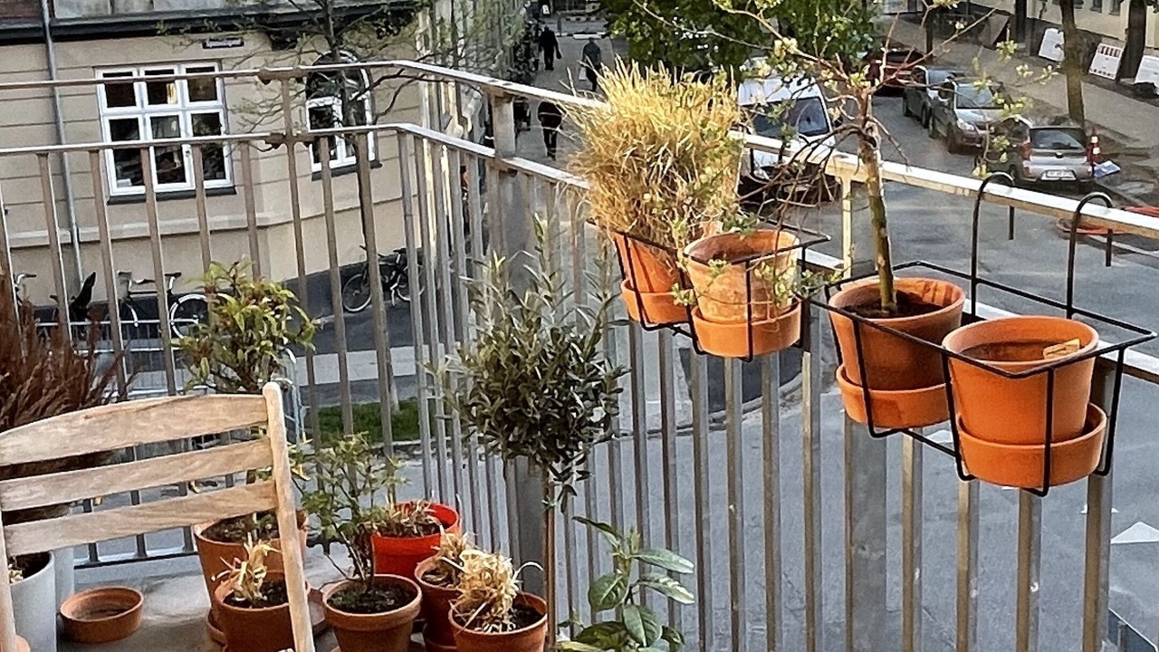 Photo of Outdoor in Amager