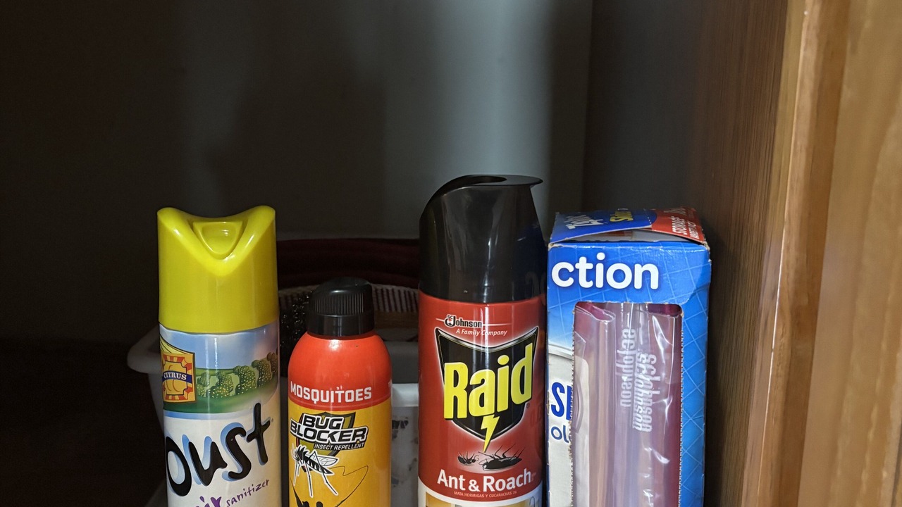 Photo of Others in Hunter