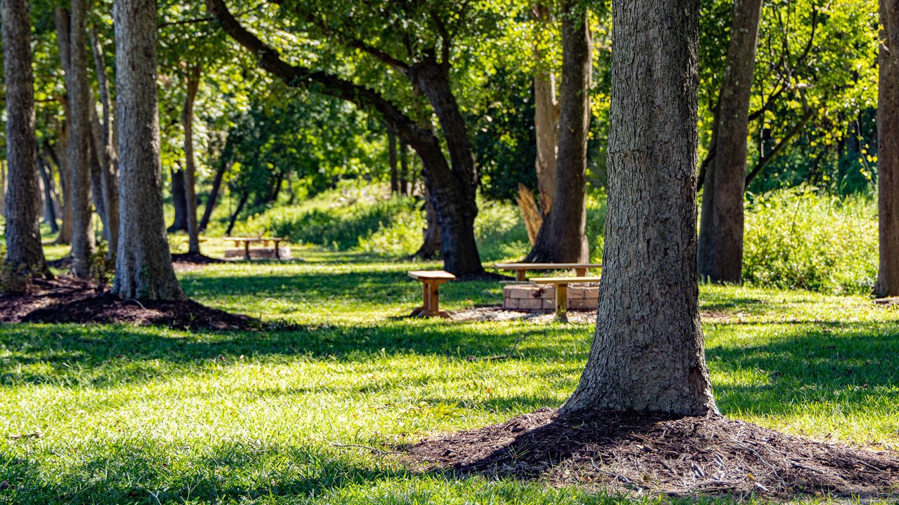 Photo of Outdoor in Castle Hayne