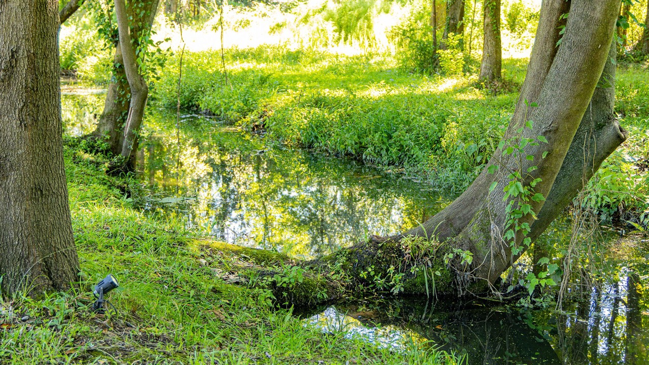 Photo of Outdoor in Castle Hayne