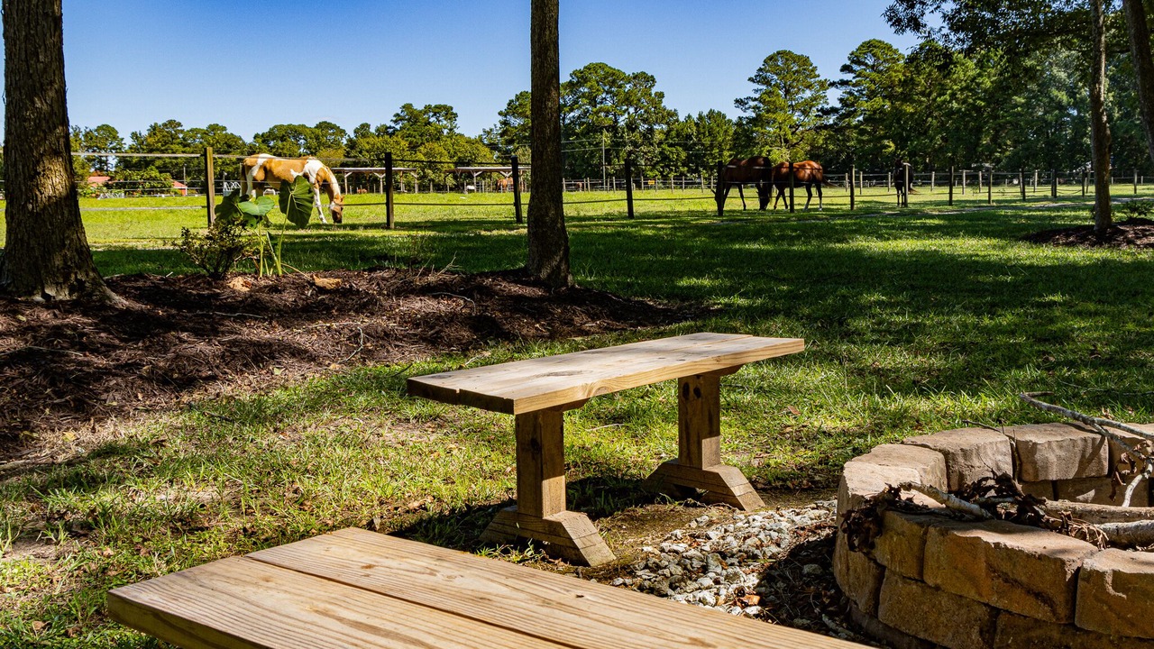 Photo of Outdoor in Castle Hayne