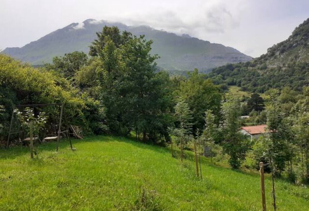 Photo of Outdoor in Arredondo