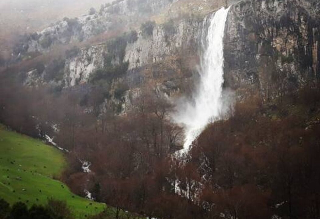 Photo of Outdoor in Arredondo