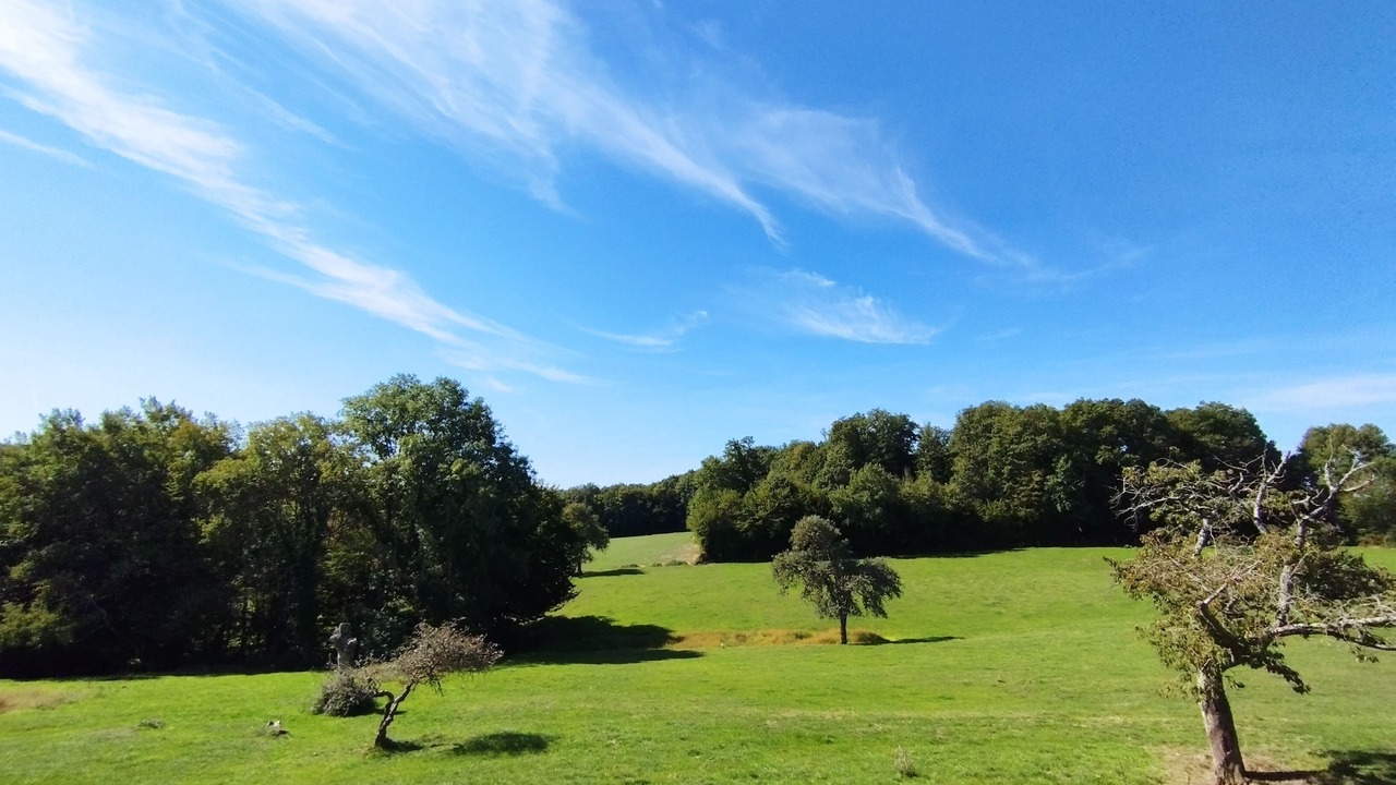 Photo of Others in Vibraye