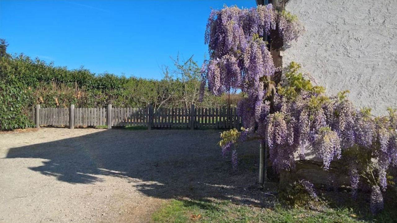 Photo of Outdoor in La Chapelle-Montmartin