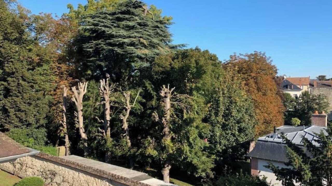 Photo of Outdoor in Fontainebleau