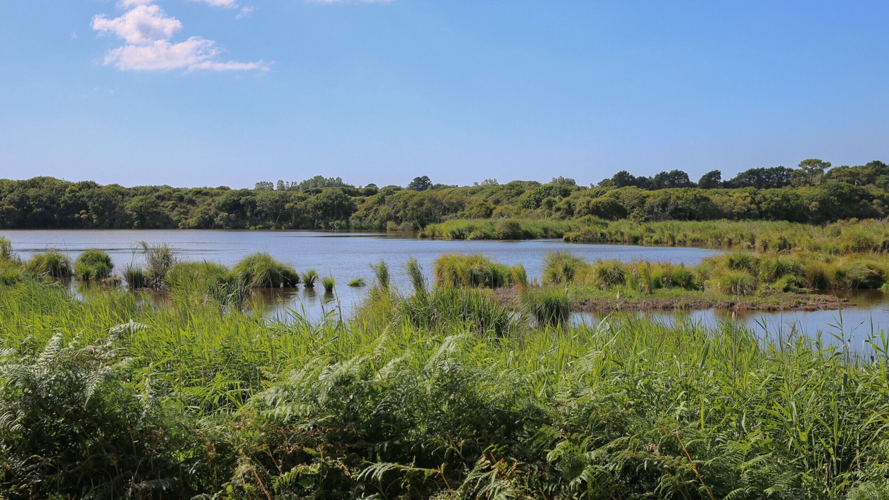 Photo of Others in Treguennec