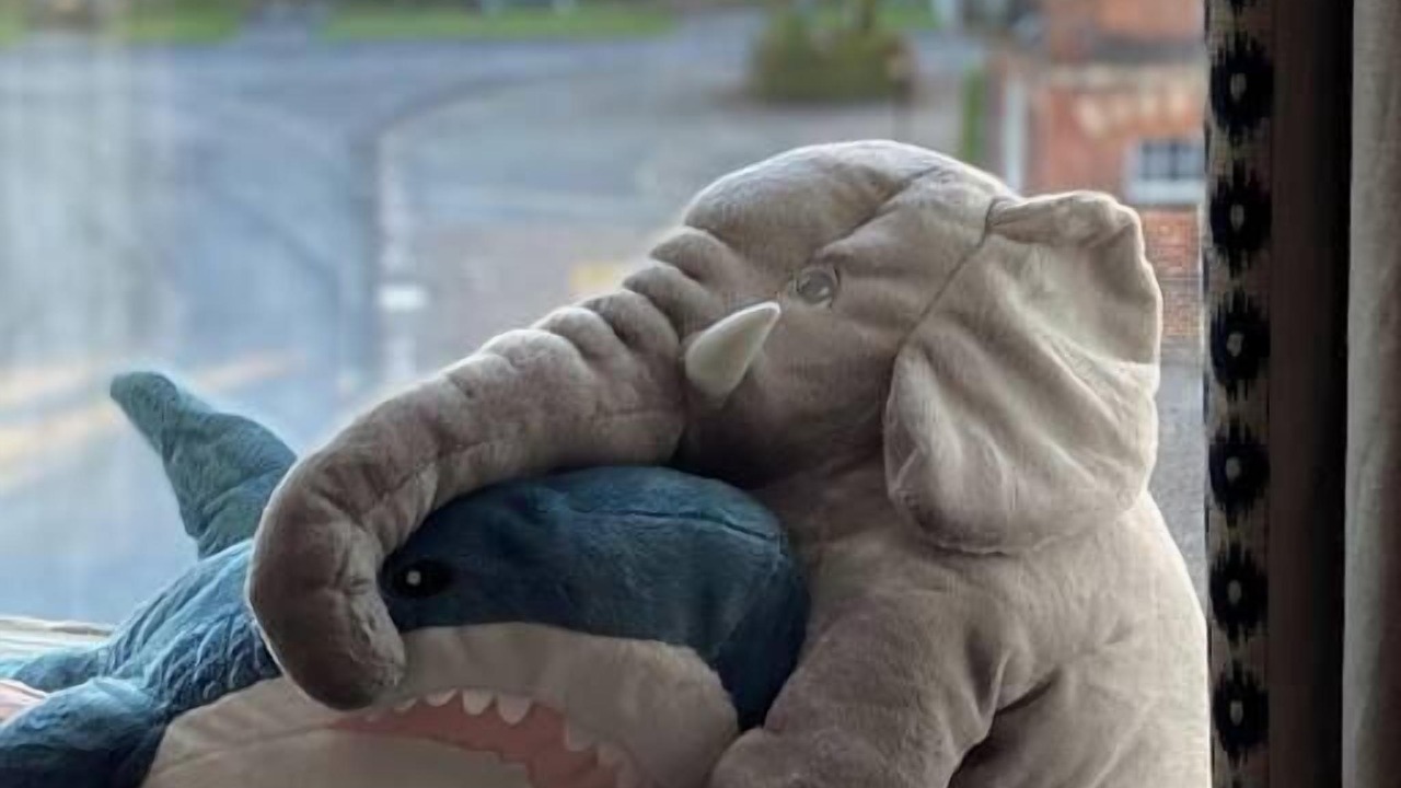 Photo of Others in Easingwold