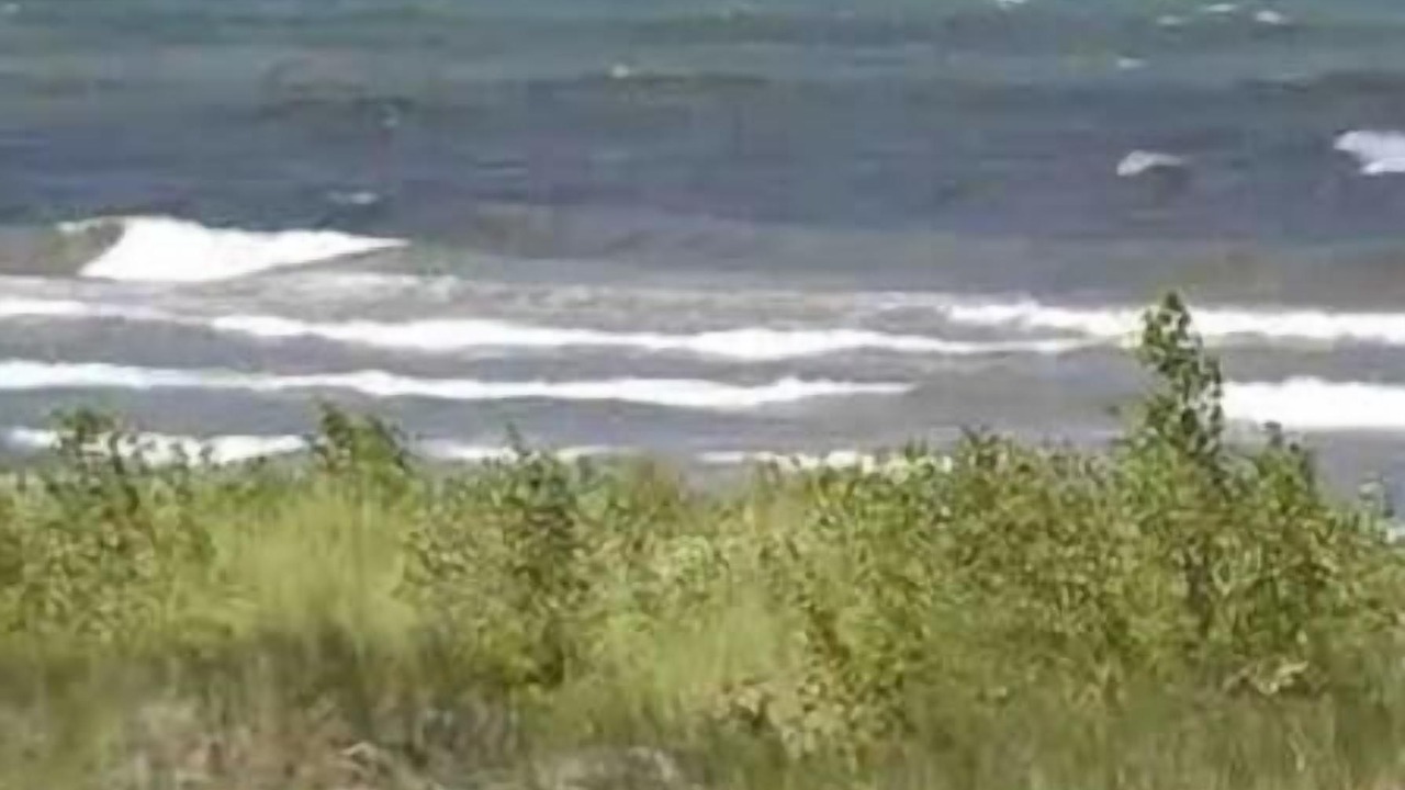 Photo of Others in Miller Beach