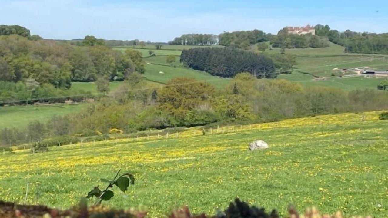 Photo of Others in Saint-Pierre-de-Varennes