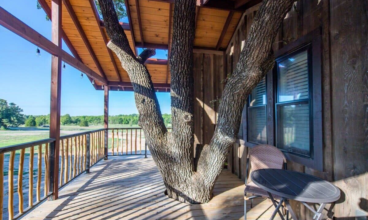Photo of Patio Balcony in Elm Mott