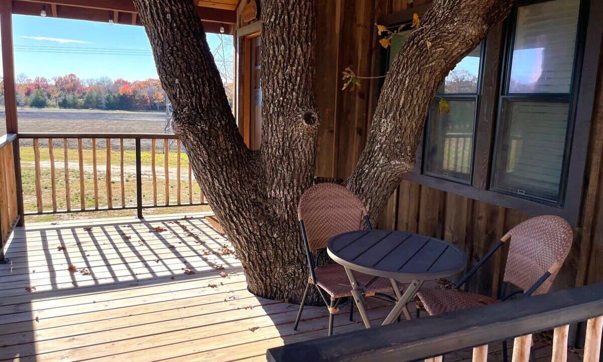 Photo of Outdoor in Elm Mott