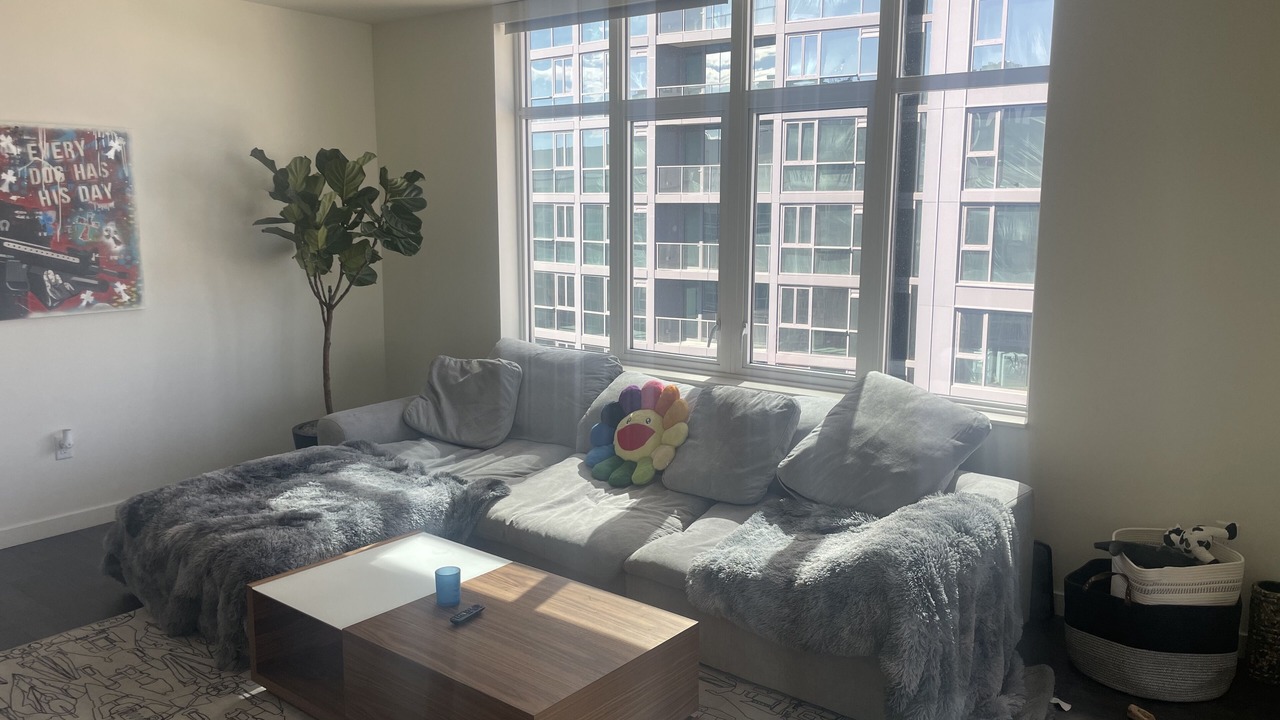 Photo of Livingroom in LoDo